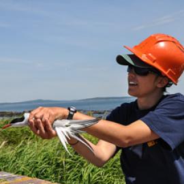 Q&A with Will Stolzenburg